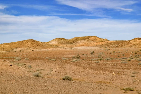 Taşlaşmış orman Milli Parkı, Santa Cruz, Argentina — Stok fotoğraf