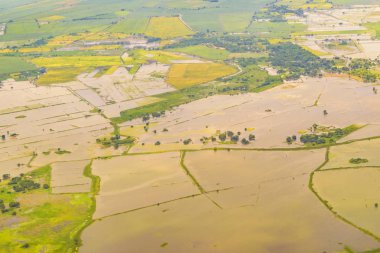 Tarım alanı havadan görünüm, Guayas, Ekvador