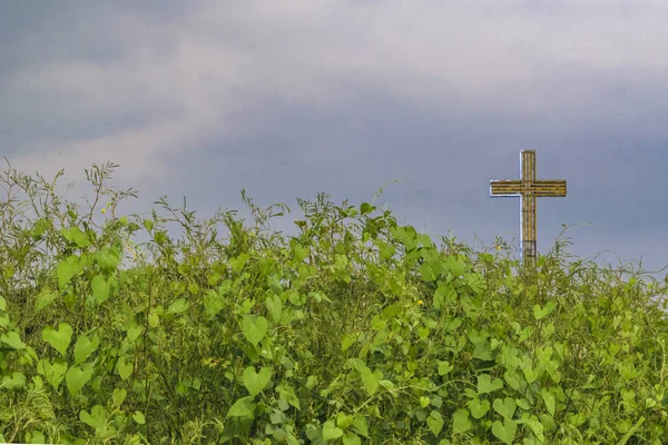 Big Cross Rodeado por Leafy Nature, Guayaquil, Equador — Fotografia de Stock