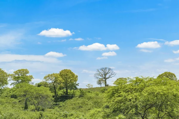 Paysage prairie Scène tropicale, Équateur — Photo