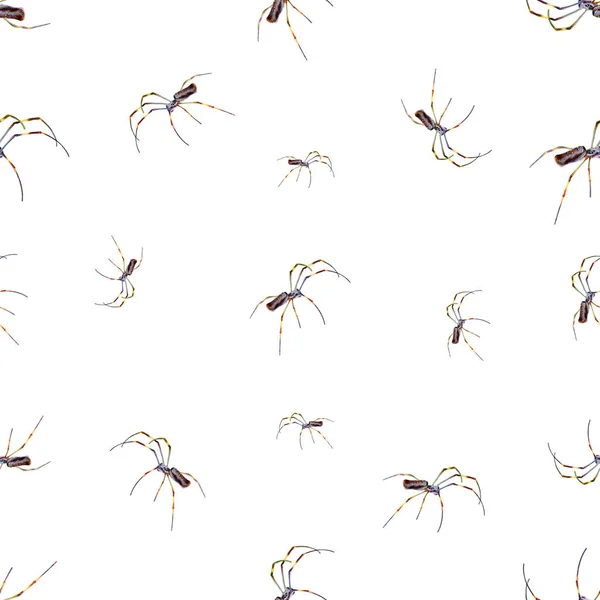 Spiders Motif Seamless Pattern Design — Stock Photo, Image