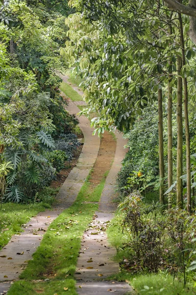 Botanische tuin van Guayaquil, Ecuador — Stockfoto