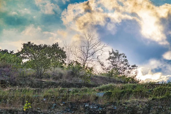 Paisaje tropical del prado, Guayaquil, Ecuador — Foto de Stock