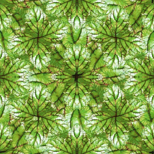 Stylized Nature Seamless Pattern Design — Stock Photo, Image