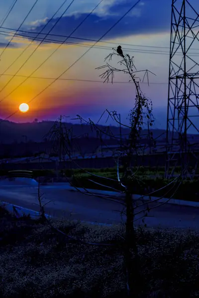 Висока контрастність Ландшафтний захід сонця — стокове фото