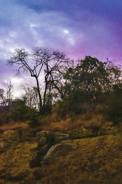 Tropikal kırsal manzara sahne