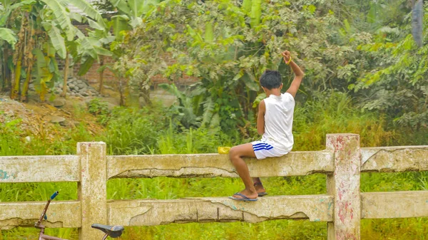 Fiú: vidéki trópusi táj, kerület Guayas, Ecuador — Stock Fotó