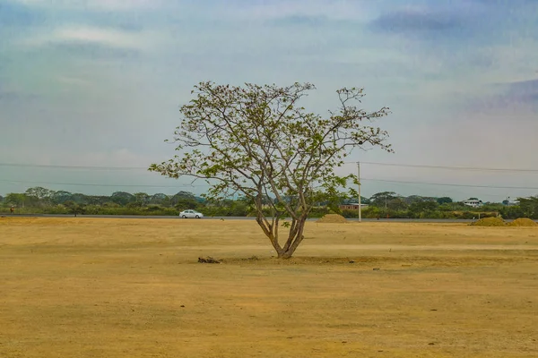 Tropical Rural Landscape Scene, Ecuador — Stock Photo, Image