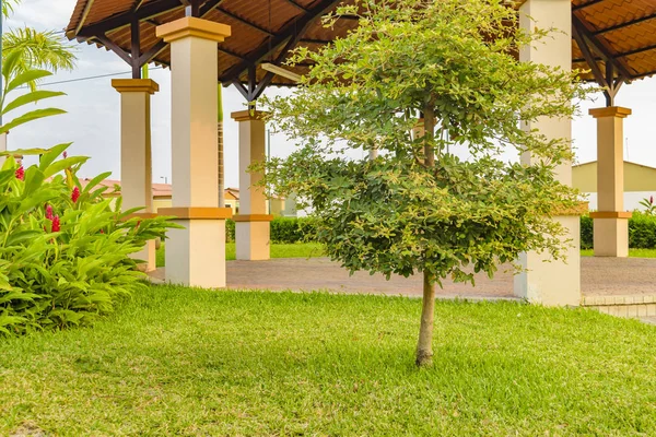 Klein Park met Gazebo en tropische planten — Stockfoto