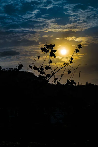 Siluet günbatımı manzara sahne — Stok fotoğraf