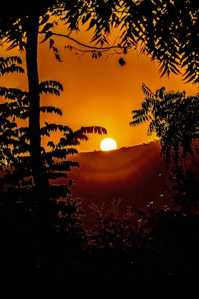 Scena del paesaggio del tramonto di silhouette — Foto Stock