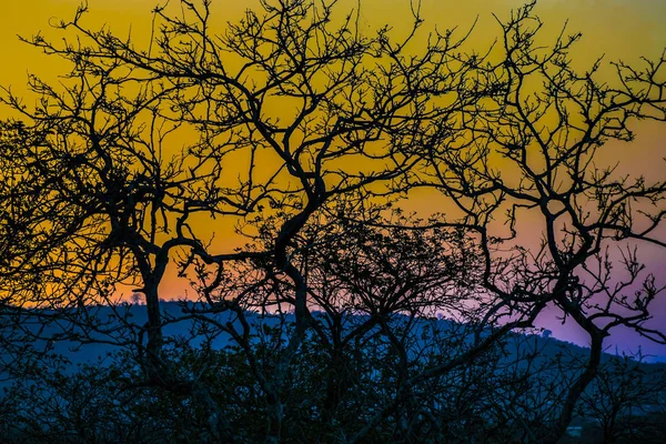 Silhouette Sonnenuntergang Landschaft Szene — Stockfoto