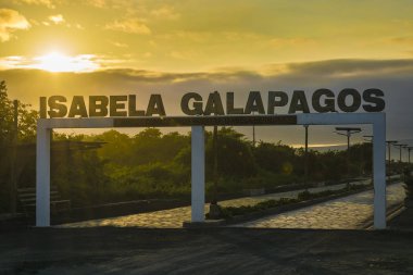 Isabela Adası, Galapagos, Ecuador