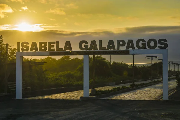 Isabela Adası, Galapagos, Ecuador