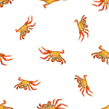 Yengeçler fotoğraf kolaj Dikişsiz desen tasarım