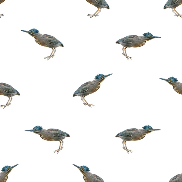 Exotic Birds Motif Seamless Pattern Design — Stock Photo, Image
