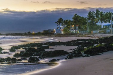 Isabela Island Beach, Galapagos, Ecuador