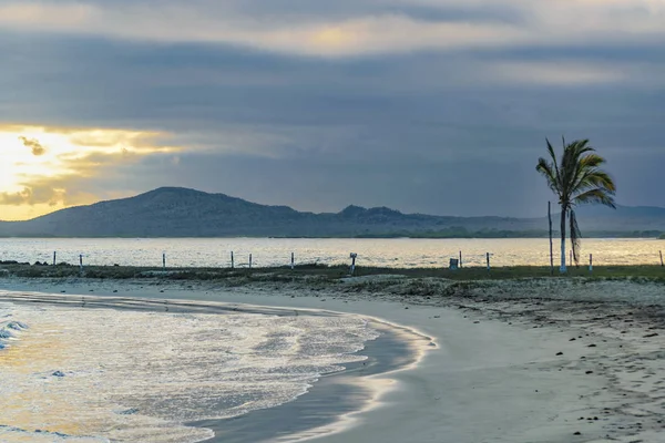 Isabela Island Beach, Galápagos, Equador — Fotografia de Stock