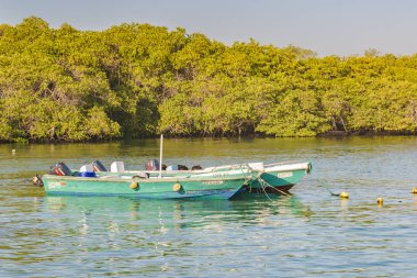 Küçük yolcu tekneleri Isabela Adası, Galapagos, Ecuador