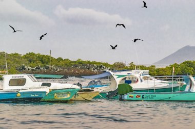 Küçük yolcu tekneleri Isabela Adası, Galapagos, Ecuador