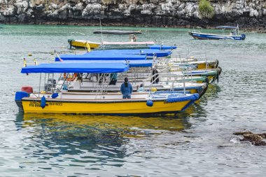 Gemi ve tekneler Santa Cruz limanında, Galapagos, Ecuador