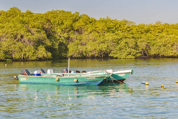 Malé osobní lodě na ostrově Isabela, Galapágy, Ekvádor — Stock fotografie