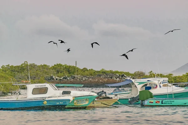 Kleine fahrgastschiffe auf isabela island, galapagos, ecuador — Stockfoto