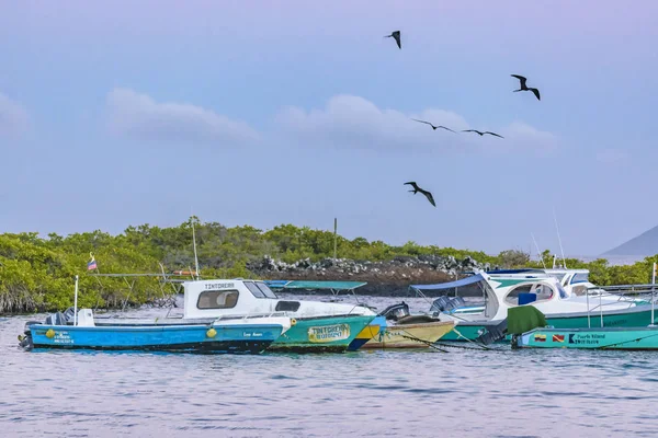 Små passagerarbåtar på Isabela Island, Galapagos, Ecuador — Stockfoto