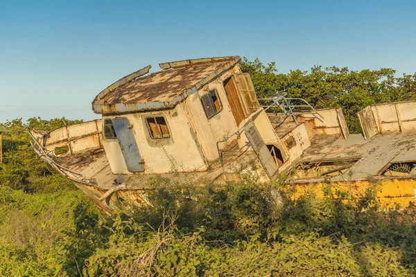 Navire abandonné à la nature — Photo