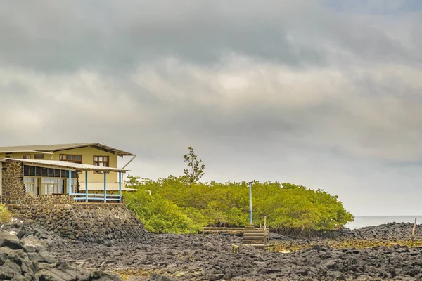 Klippiga kust scen på Santa Cruz, Galapagos, Ecuador — Stockfoto