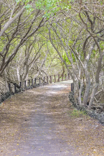 Galapagos-Wanderweg — Stockfoto