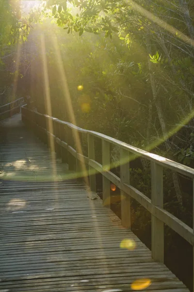 Rayonnements à Trail, Galapagos, Équateur — Photo