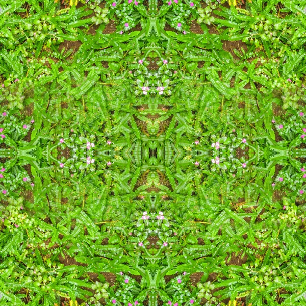 Digital Natura Collage Pattern Mosaico — Foto Stock