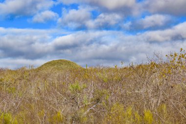 Manzara olay yerinde Galapagos, Ecuador