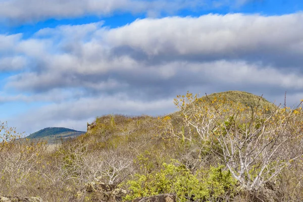 Manzara olay yerinde Galapagos, Ecuador