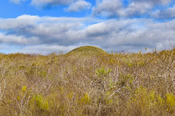 Manzara olay yerinde Galapagos, Ecuador