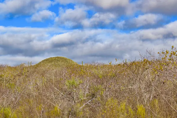 Manzara olay yerinde Galapagos, Ecuador
