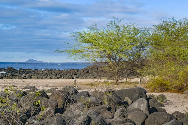 Rocky Beach Galapagos, Équateur — Photo