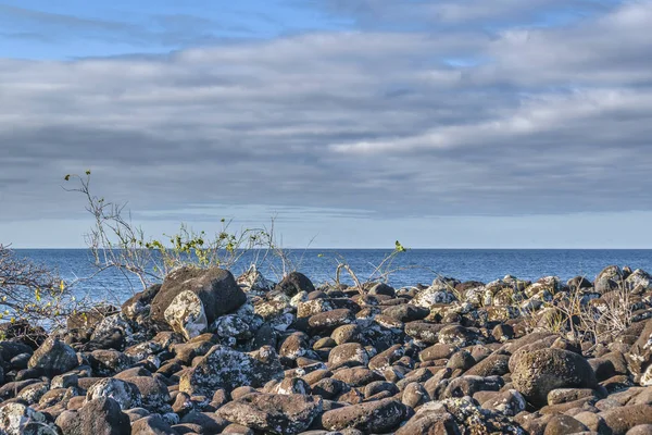 Τοπίο βραχώδη ακτή, Γκαλαπάγκος, Ισημερινός — Φωτογραφία Αρχείου