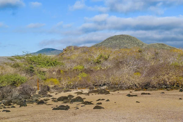 Prázdná pláž, Galapágy, Ekvádor — Stock fotografie