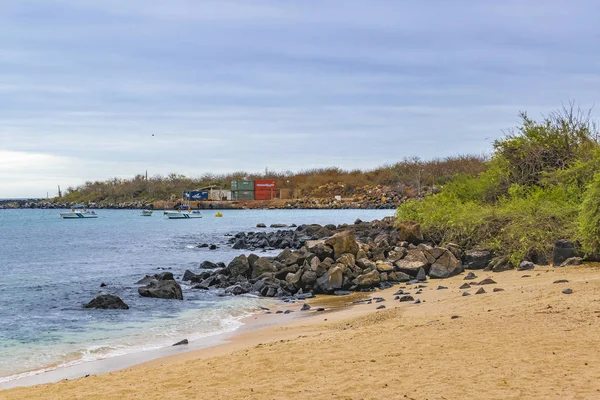 Rotsachtig strand, Galapagos, Ecuador — Stockfoto
