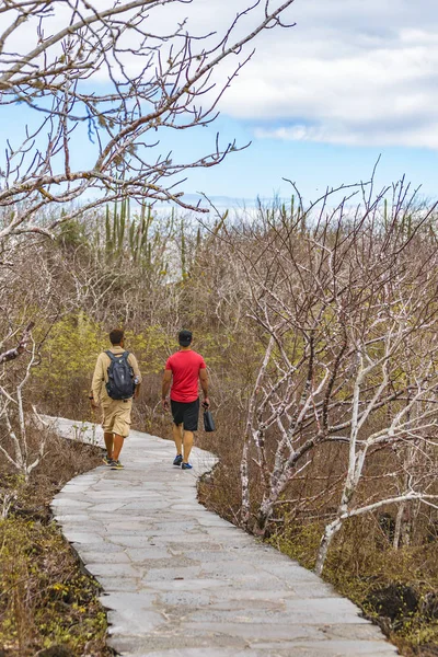 Jonge mannen lopen in de toeristische Trail Galapagos — Stockfoto
