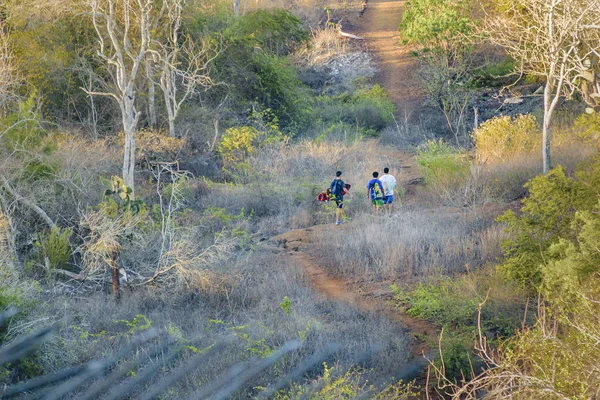 Gençler Road, Galapagos, Ekvador yürüyüş