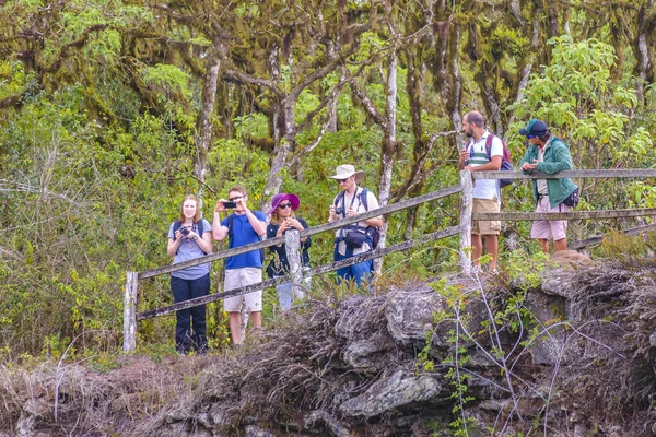 Groep toeristen op Los Gemelos, Galapagos, Ecuador — Stockfoto