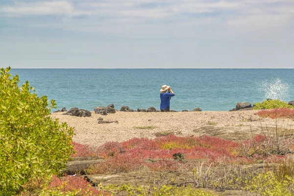 Isabela Beach, Galapagos, Ecuador — Stok fotoğraf