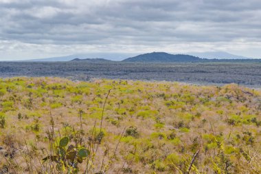 Isabela Adası havadan görünümü, Galapagos, Ecuador