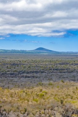 Isabela Adası havadan görünümü, Galapagos, Ecuador