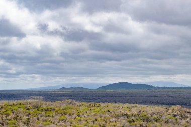 Isabela Adası havadan görünümü, Galapagos, Ecuador