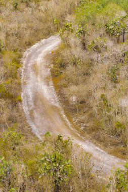 Isabela Adası havadan görünümü, Galapagos, Ecuador