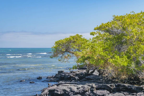 Kayalık sahil peyzaj, Galapagos, Ecuador